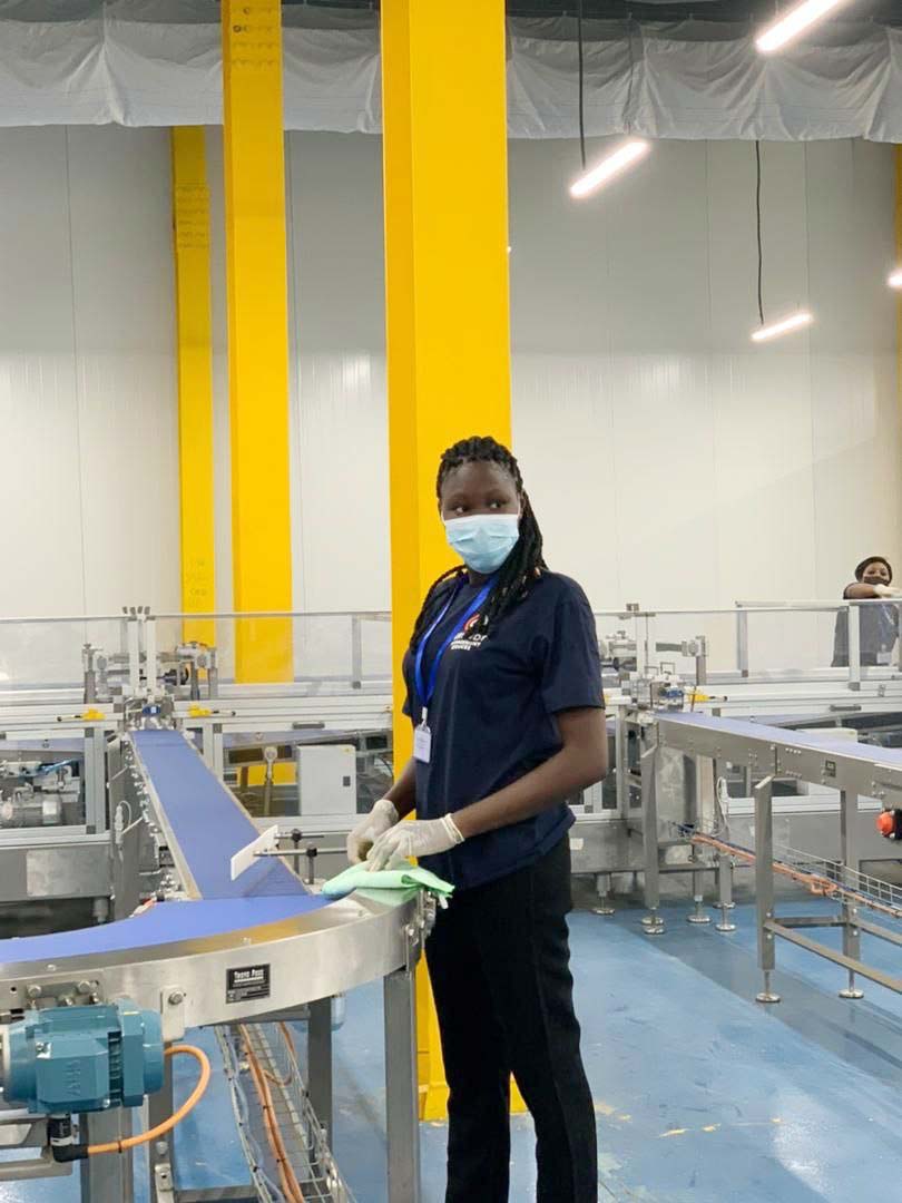 Cleaning Services